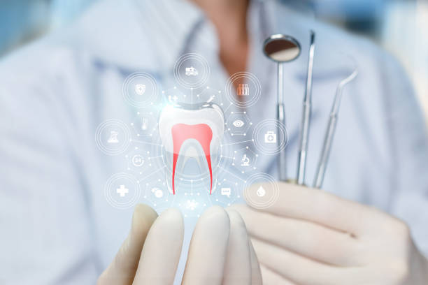 Best Traditional Braces  in Hillsboro, ND